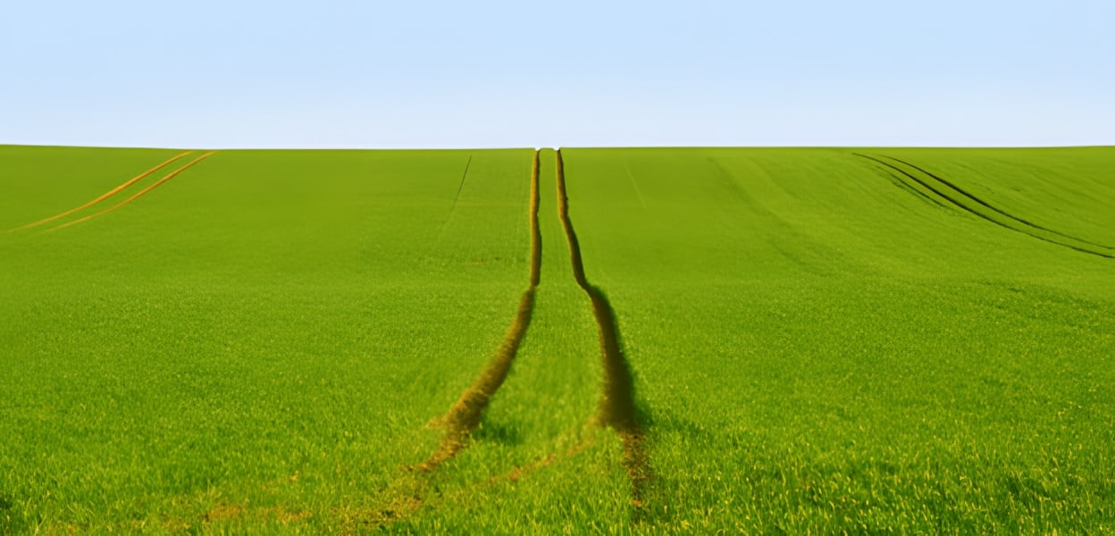 Pädagogische Kinesiologie